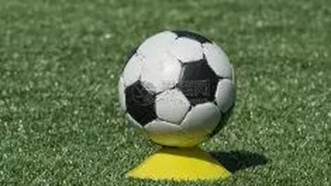 开云官网 产品 134120 b5d