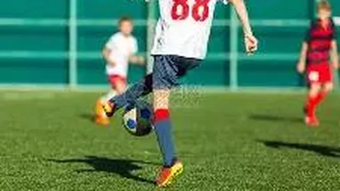 开云官网 产品 135252 pnm