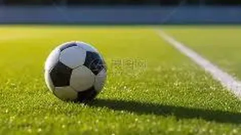 开云官网 产品 103517 1bp