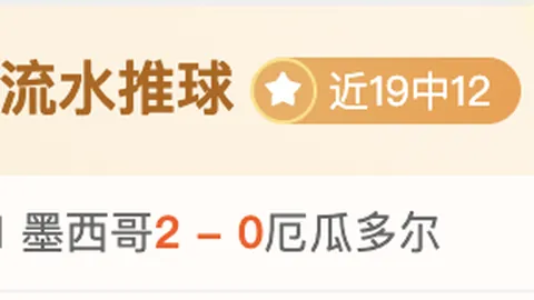 开云官网 131343